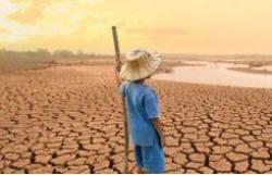 Artigo: Do amparo à estratégia, o seguro na sustentabilidade dos negócios diante dos riscos climáticos